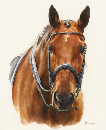 Pferdeportrait Aquarell