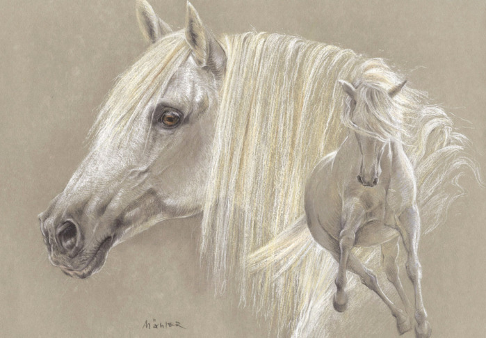 Pferdeportrait Pastell