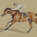 Pferde zeichnung Rennsport