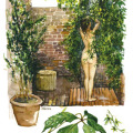 Gartenillustration, gezeichnet, gemalt