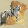 Pferde Zeichnung, Racinet