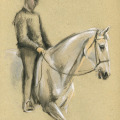 Pferde Zeichnung, Racinet
