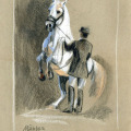 Pferde Zeichnung 