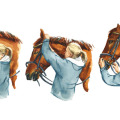Pferdezeichnung, Kinderbuch