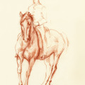 Pferdeillustration gezeichnet
