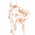 Pferdezeichnung, Illustration