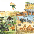 gezeichnete Naturillustration Tiere in Afrika