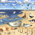 gezeichnete Illustration Tiere an der Nordsee
