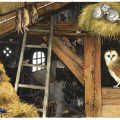 Illustration Tiere in der Scheune, Kinderbuchillustration