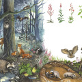 Illustration Wimmelbild Wald, Kinderbuchillustration