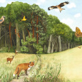 Tiere, Wald , Kinderbuch
