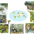 Tiere im Wald, Kinderbuchillustration
