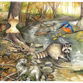 Illustration Tiere am Fluß, Kinderbuchillustration