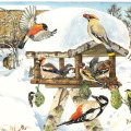 Illustration Vogelhaus, Kinderbuchillustration