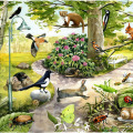 Wimmelbild Tiere im Park, Illustration Sachbuch