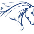 logo pferdekopf