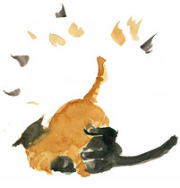 Tierportrait Illustration Katze