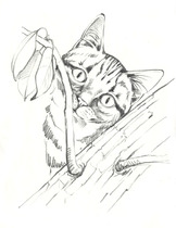 Tierportrait Illustration Katze