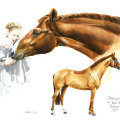 Pferdemalerei Pferd und Mensch