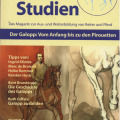 Illustration Pferdezeichnung, Dressurstudien
