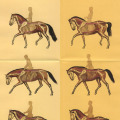 Pferdezeichnung, Pferdeillustration, Dressurstudien