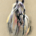 Pferdemalerei, Lipizzaner