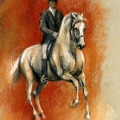 Pferdemalerei, Lipizzaner