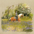 Pferdemalerei, Illustration reiten
