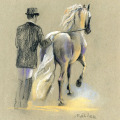Pferdezeichnung, Pferdeillustration