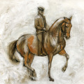 Pferdemalerei, Illustration reiten