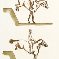 Pferdeillustrationen