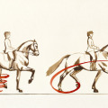 Pferdezeichnung, Illustration