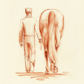 Pferdezeichnung, Illustration