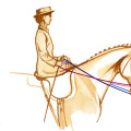 Pferdezeichnung, Illustration