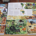 Tierillustrationen, Kinderbuchillustrationen