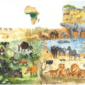 gezeichnete Naturillustration Tiere in Afrika
