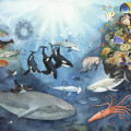 gezeichnete Naturillustration Tiere im Meer
