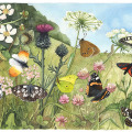 Illustration Wimmelbild Schmetterlinge