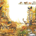Illustration Wimmelbuch Wald, Kinderbuchillustration