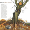 Illustration Baum Winterschlaf
