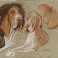 Hunde zeichnung