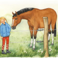 kinderbuchillustration, illustration sachbuch