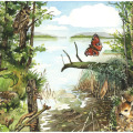 Illustration Tiere Tarnung