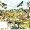 Tiere in den Bergen, gezeichnete Illustration