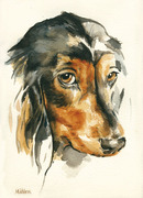 Hundeportrait Dackel