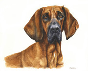 gemaltes Hundeportrait Jagdhund