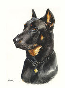 Tierportrait Hund