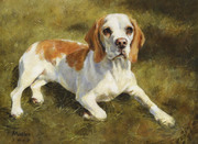 Hundeportrait gemalt