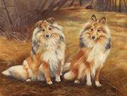 gemaltes Hundebild Sheltie