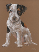 Hundeportrait gezeichnet für Rinti Hundefutter